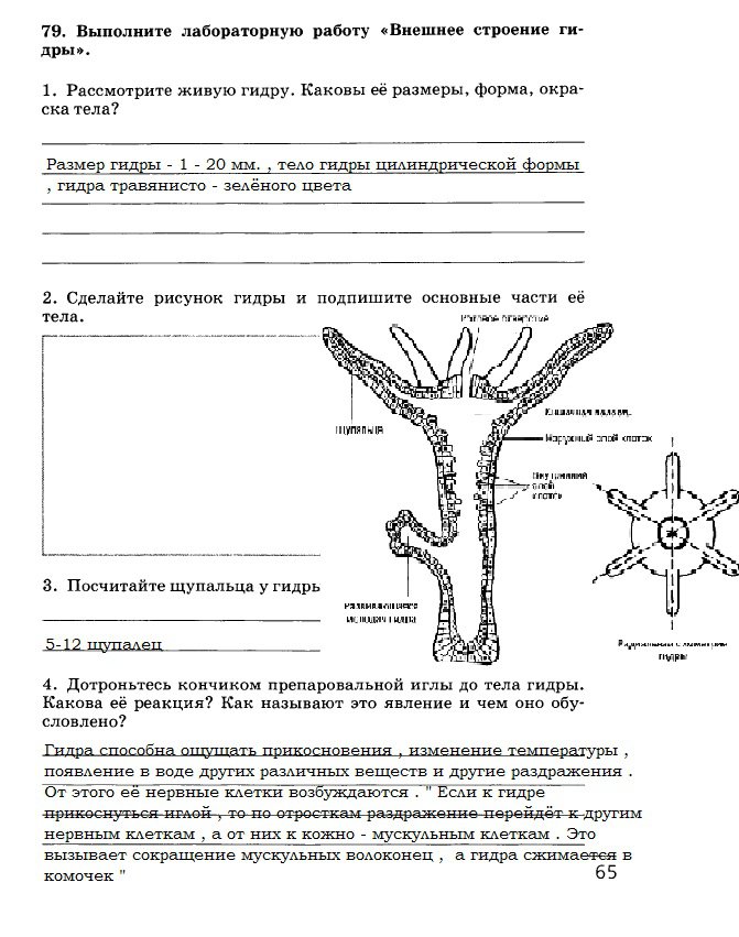 Omg omg сайт cn