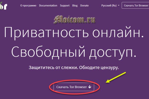 Мега все о параллельном интернете