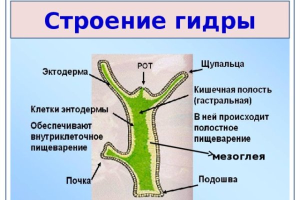 Кракен сайт ссылка на кракен onion