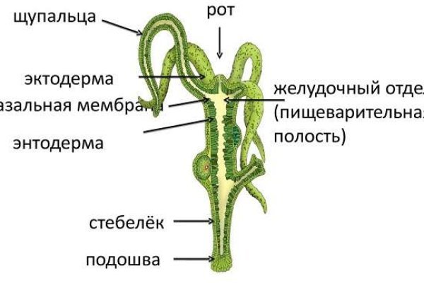 Как загрузить фото на мегу с андроид